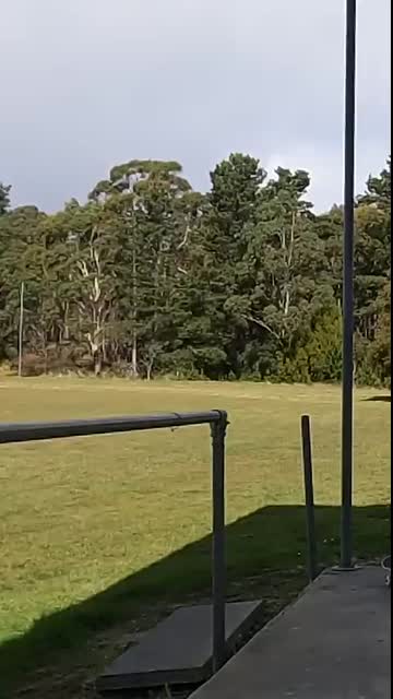 My Best Fails OF The Month.. #shorts