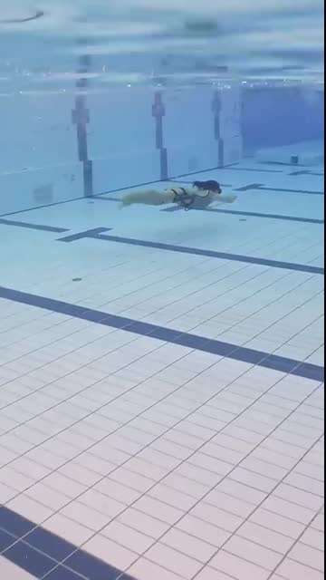 Flying underwater Lara Croft Style #underwater #tombraider