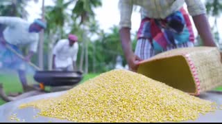 POPCORN   Spicy Butter Popcorn Recipe Cooking In Village   Home Made Easy Popcorn Snack Recipe