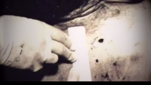 JFK Assassination A New Perspective (2025 Update & Newly Declassified Documents)