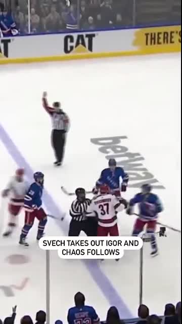 CHAOS At The Garden! ?