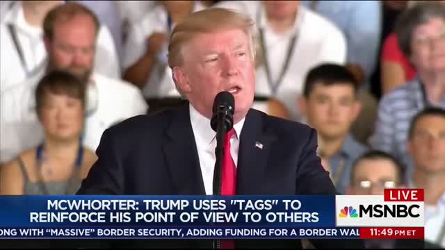 Language Expert Donald Trump's Way Of Speaking Is 'Oddly Adolescent'   The 11th Hour   MSNBC