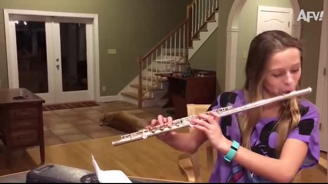 Down Slides the FAIL! ?   Funny Fails   AFV 2020