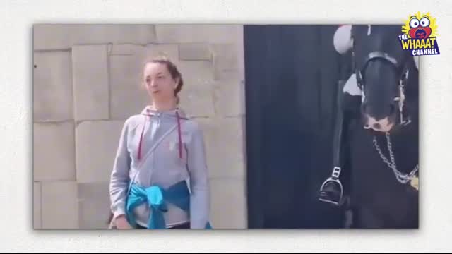 When Royal Guards BREAK Character & Reveal the Most HEARTFELT Acts of Respect Caught on Camera