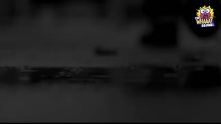 When Royal Guards BREAK Character & Reveal the Most HEARTFELT Acts of Respect Caught on Camera