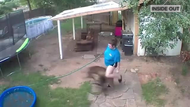 Dumb Texas Fails  Lone Star State Stupidity ?