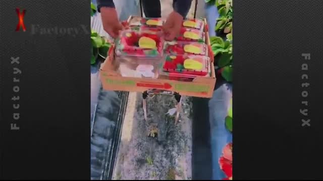 Most Satisfying Videos Of Workers Doing Their Job Perfectly #21