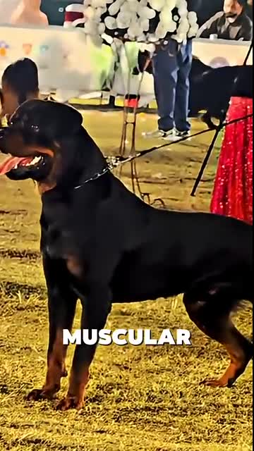 “I Studied the Most Dangerous Dog Breeds for 30 Days… These 7 Scared Me the Most”