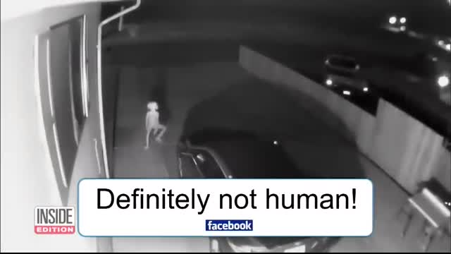 Has the ‘Dobby’ Mystery Been Solved