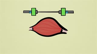 Make GREAT Gains With Lights Weights! Here's How.