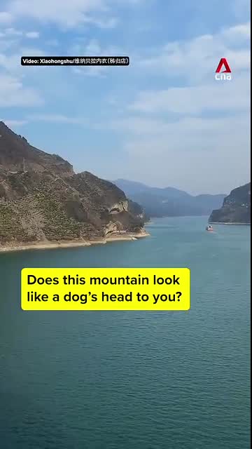 China's  Puppy Mountain  cliff goes viral