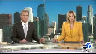 Small plane hit deaf woman walking dog when it crashed on Long Beach soccer field, family says