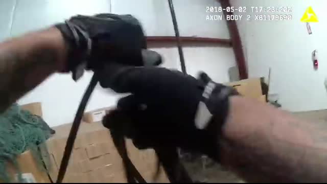 Police K9  Jedi  Hunts Jail Escapee Hiding in Industrial Warehouse