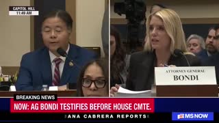 'I believe you just lied under oath' Dem Rep. asks Bondi about Trump's mentions in Epstein files