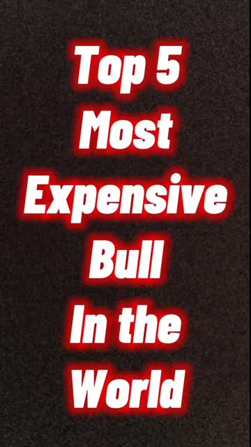 Top 5 Most Expensive Bulls in the World#ytshorts #shorts#bull