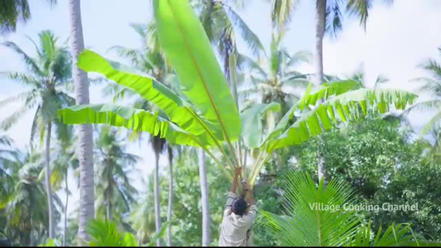 BAMBOO CHICKEN   Chicken Cooking in Bamboo   Direct Fired Bamboo Chicken Recipe Cooking in Village