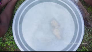 FRIED CHICKEN LEGS   500 Crispy Chicken Leg Fry Recipe Cooking in Village   Fried Leg Piece