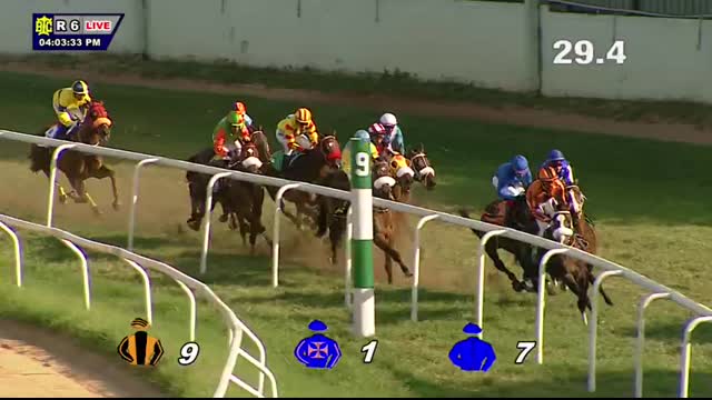 SIEGE COURAGEOUS THE NEW YEAR CUP(GR III)(87)