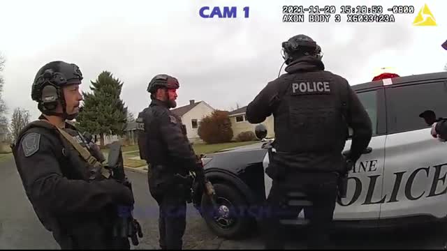 Police K9 Takes Down Hit-and-Run Suspect   Makes Man Sorry He Ever Ran