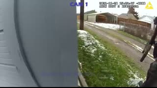 Police K9 Takes Down Hit-and-Run Suspect   Makes Man Sorry He Ever Ran