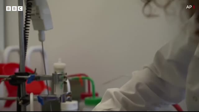 Have we already found the fountain of youth？ - The Global Story, BBC World Service