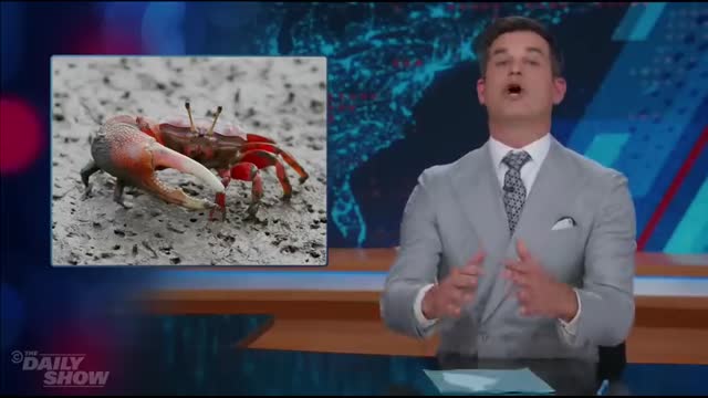 FBI Charges NBA Stars in Gambling Scheme & Trump Touts Ballroom Post-East Wing Demo   The Daily Show