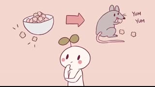 5 Common Behaviors That Kill Relationships