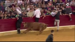 VAQUILLAS FIESTAS DEL PILAR ZARAGOZA 2023   15 10 2023