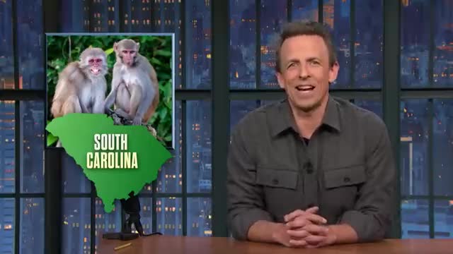 Nikki Haley Says Election Results Should Be Democrats’ “Wake-Up Call”