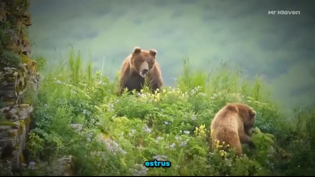 The hyena didn’t see the crocodile! 21 Insane Moments of Wild Nature