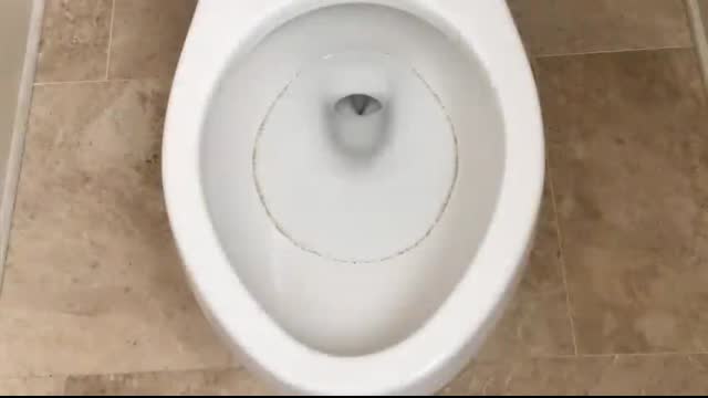 Recurring Toilet Ring - Top 3 Solutions tested - Problem Solved