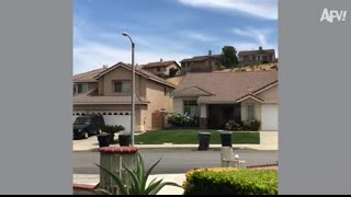 Try Not to Laugh Challenge ? Best Fails of April 2025