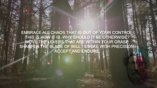 Build Strong Character - The Best Stoic Quotes