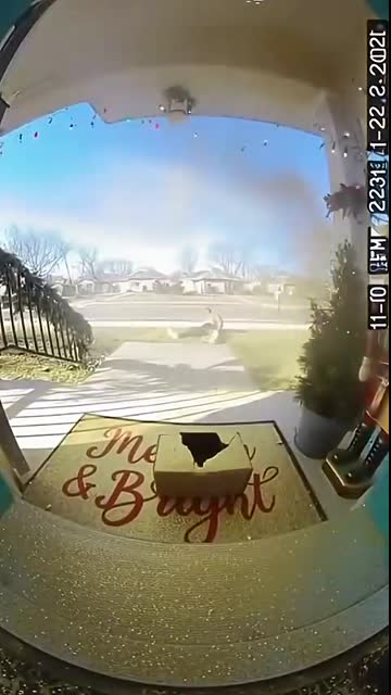 ? Gold-Chain Bro Steals Package… METALLIC GOLD BOMB Full Body ?✨