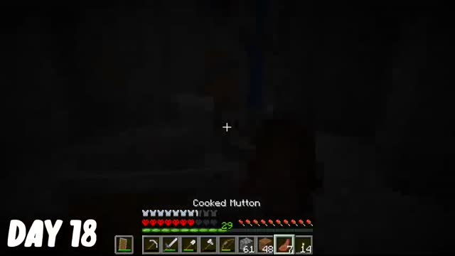 I Survived 100 Days in HARDCORE Minecraft...