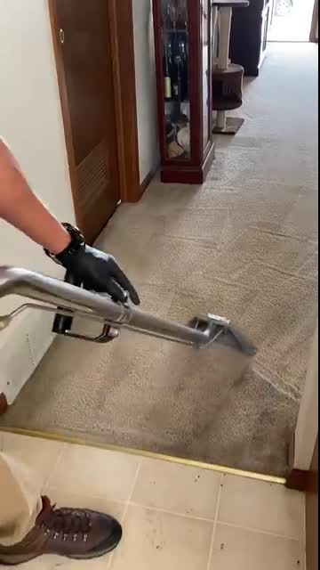 Satisfying Carpet Cleaning