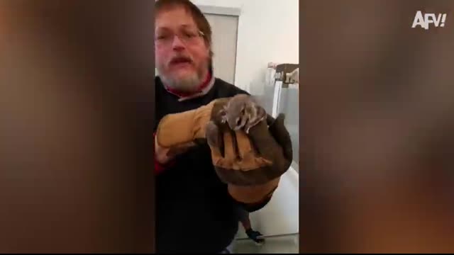 Funniest Work Pranks and Fails ? Idiots at Work!