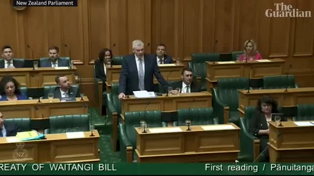 MP rips up bill, leads haka as NZ parliament erupts over Waitangi treaty bill