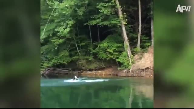 Try Not to Laugh Challenge ? Best Fails of 2024 So Far