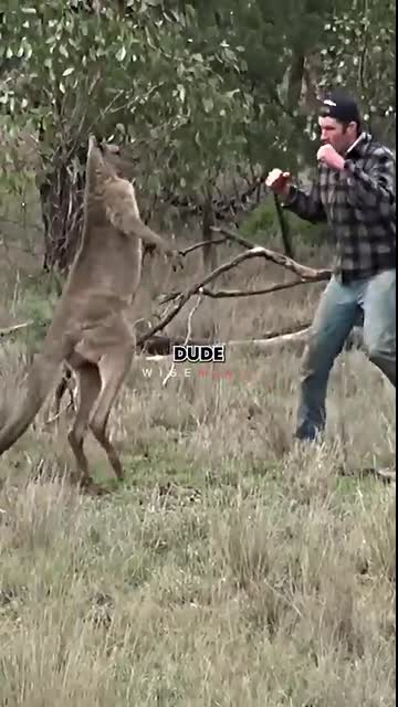 Mike Tyson Laughs at Kangaroo