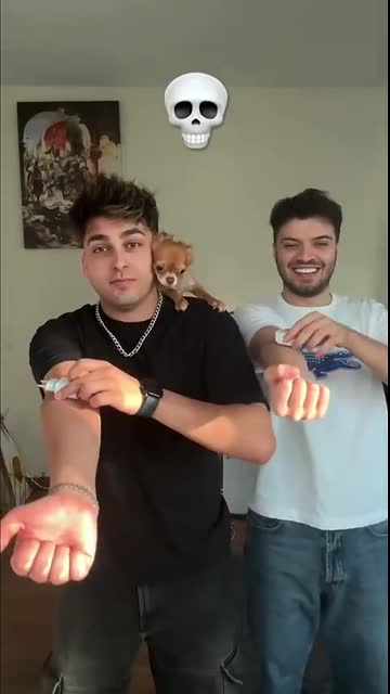 imkansız hayır bu hareket yapılamaz ?   çocuğun eli kırıldı   köpek bile şaşırdı