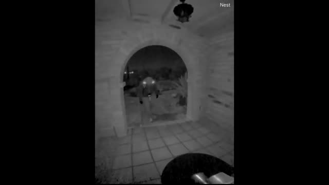 New Nancy Guthrie Video What The FBI Told Us...   TMZ