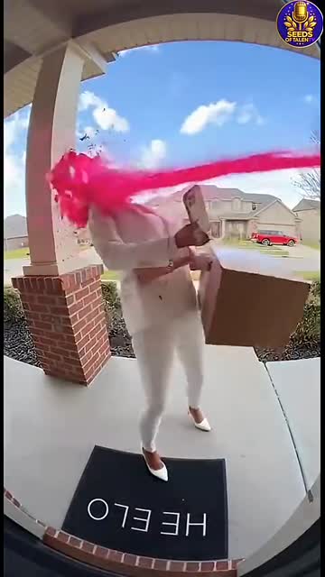 Vlogging Glam Thief Blasted by Pink Paint Jet (Caught on Ring Camera)