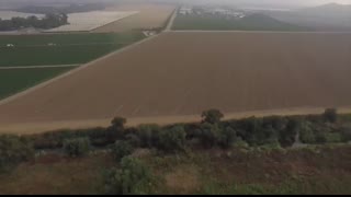 GREAT PYRENEES LIVESTOCK GUARDIAN IN ACTION
