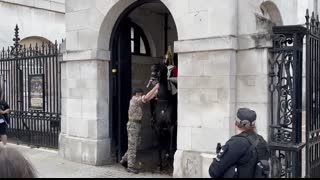 Royal Guard’s Brave Horse Rescue Will Make You Cry ??