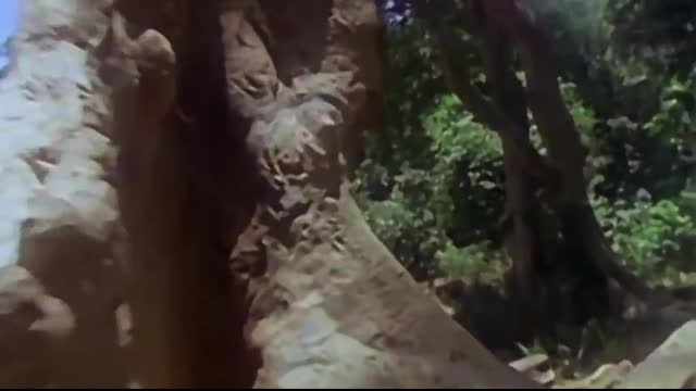 Duran Duran - Hungry like the Wolf (Official Music Video)