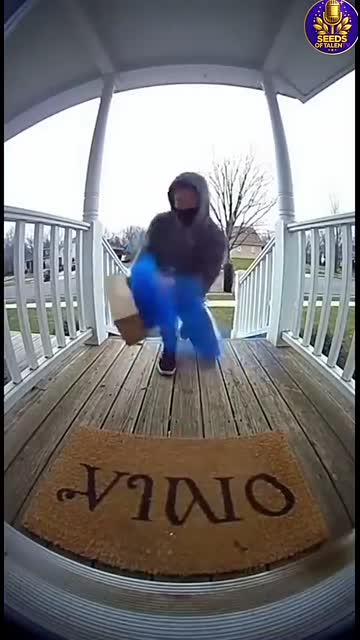 Porch Pirate Falls Through Weak Board After Blue Paint Explosion ??   Caught on Ring Camera