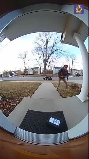 Motorcycle Escape FAIL! (Caught on Ring Camera)