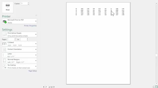 Excel Print Options, Tips and Tricks Tutorial