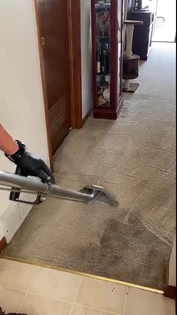 Satisfying Carpet Cleaning